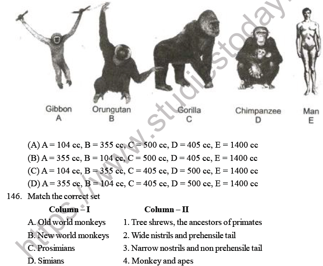 NEET Biology Evolution MCQs Set A, Multiple Choice Questions